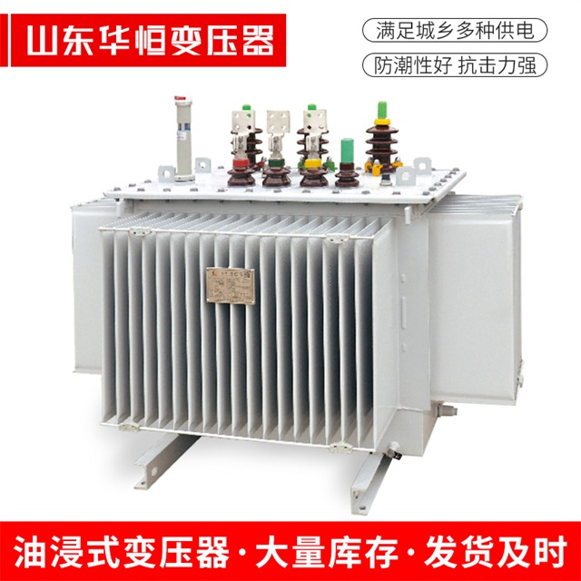 S13-10000/35泗阳泗阳泗阳电力变压器